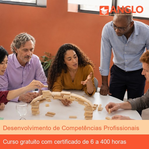 Desenvolvimento de Competências Profissionais